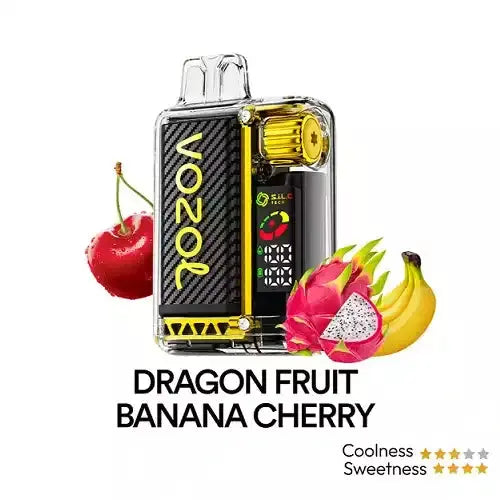 Vozol Vista 20000 Puffs Wiederaufladbarer Einweg Vape - Vaporkraft