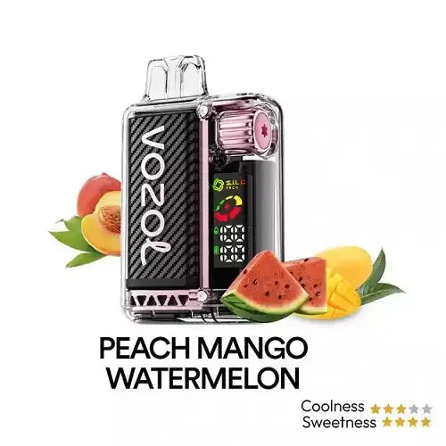 Vozol Vista 20000 Puffs Wiederaufladbarer Einweg Vape - Vaporkraft